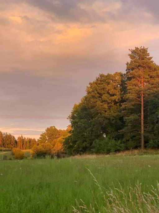 Villa Prijemna Chaloupka Na Trebonsku Chlum u Trebone Exterior foto