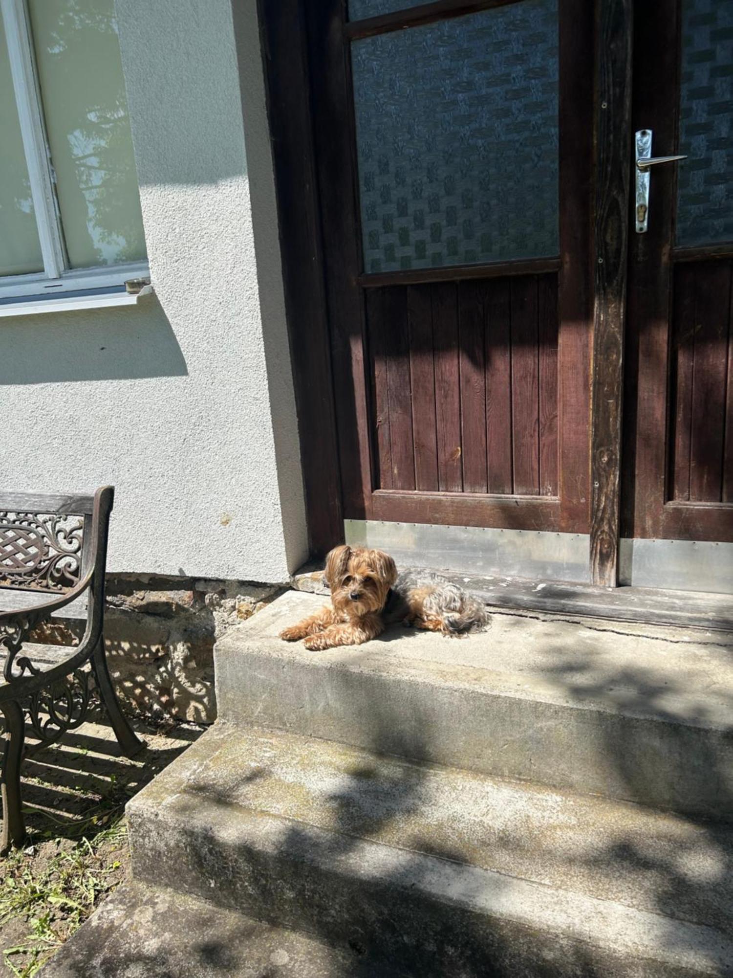 Villa Prijemna Chaloupka Na Trebonsku Chlum u Trebone Exterior foto